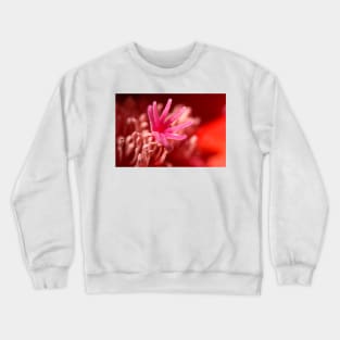 Flower Abstract Crewneck Sweatshirt